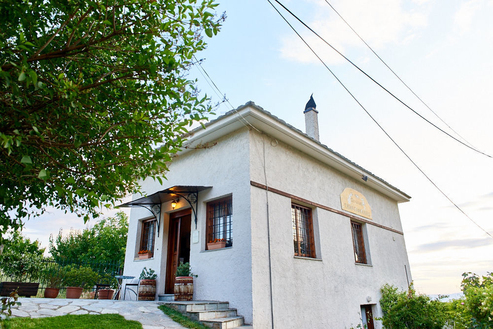 Triantafillies Guesthouse Portaria  Bagian luar foto