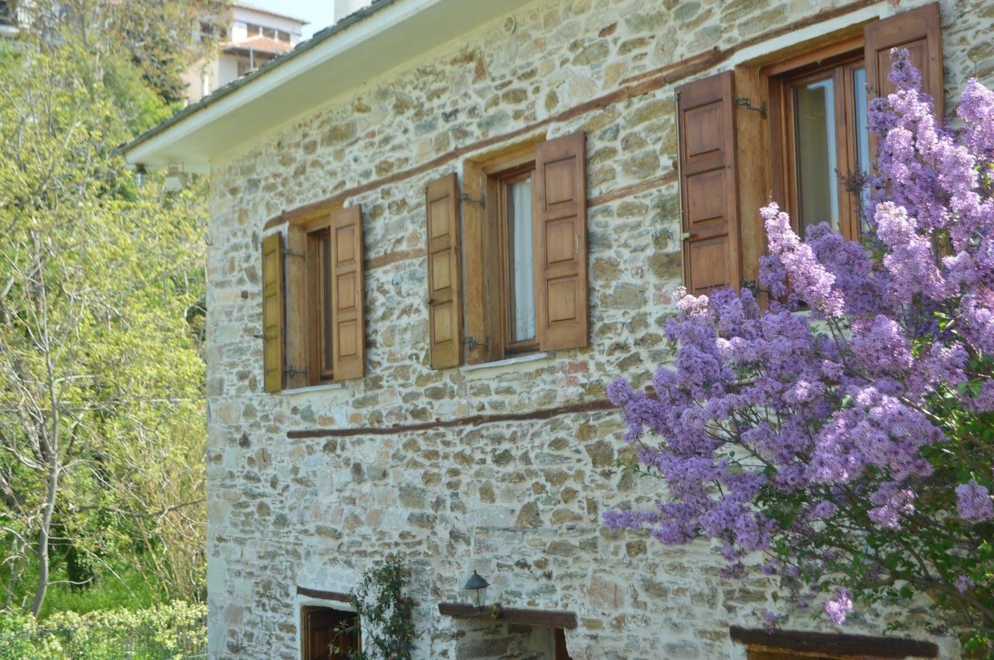 Triantafillies Guesthouse Portaria  Bagian luar foto