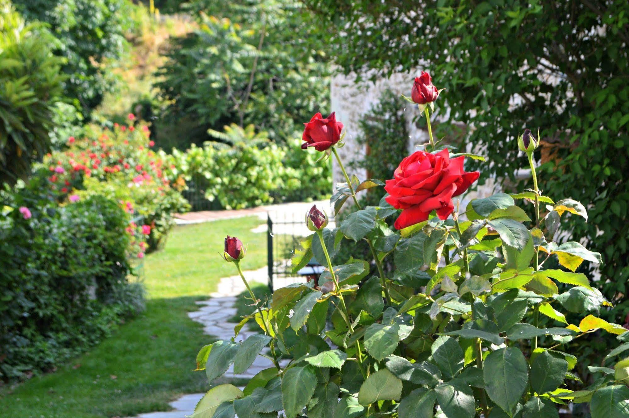 Triantafillies Guesthouse Portaria  Bagian luar foto