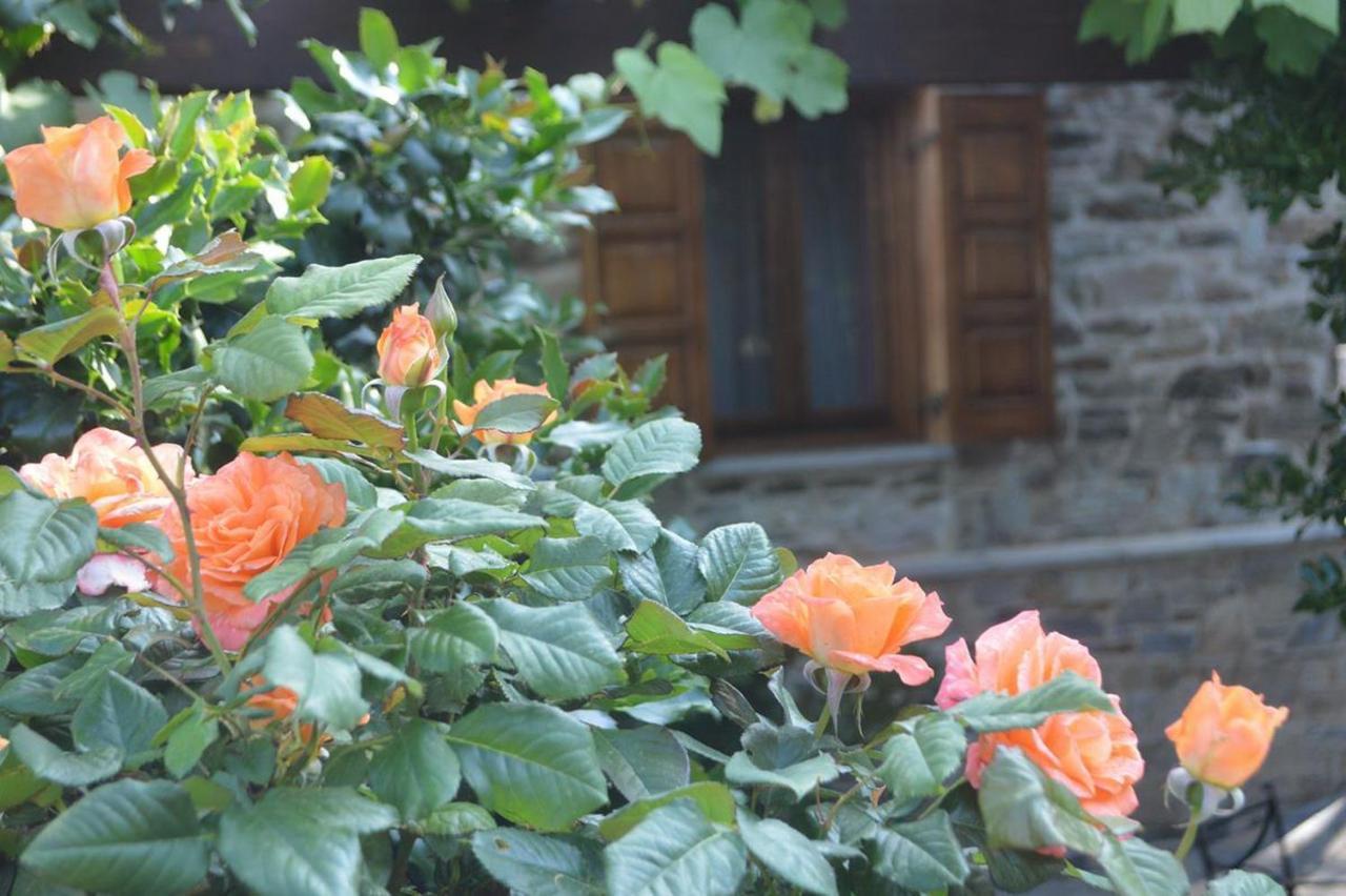 Triantafillies Guesthouse Portaria  Bagian luar foto