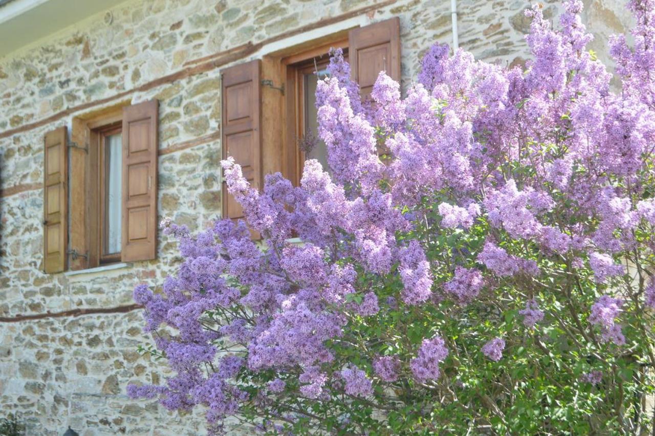 Triantafillies Guesthouse Portaria  Bagian luar foto